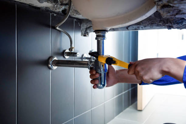 Professional Plumbing Services in Seminole, FL